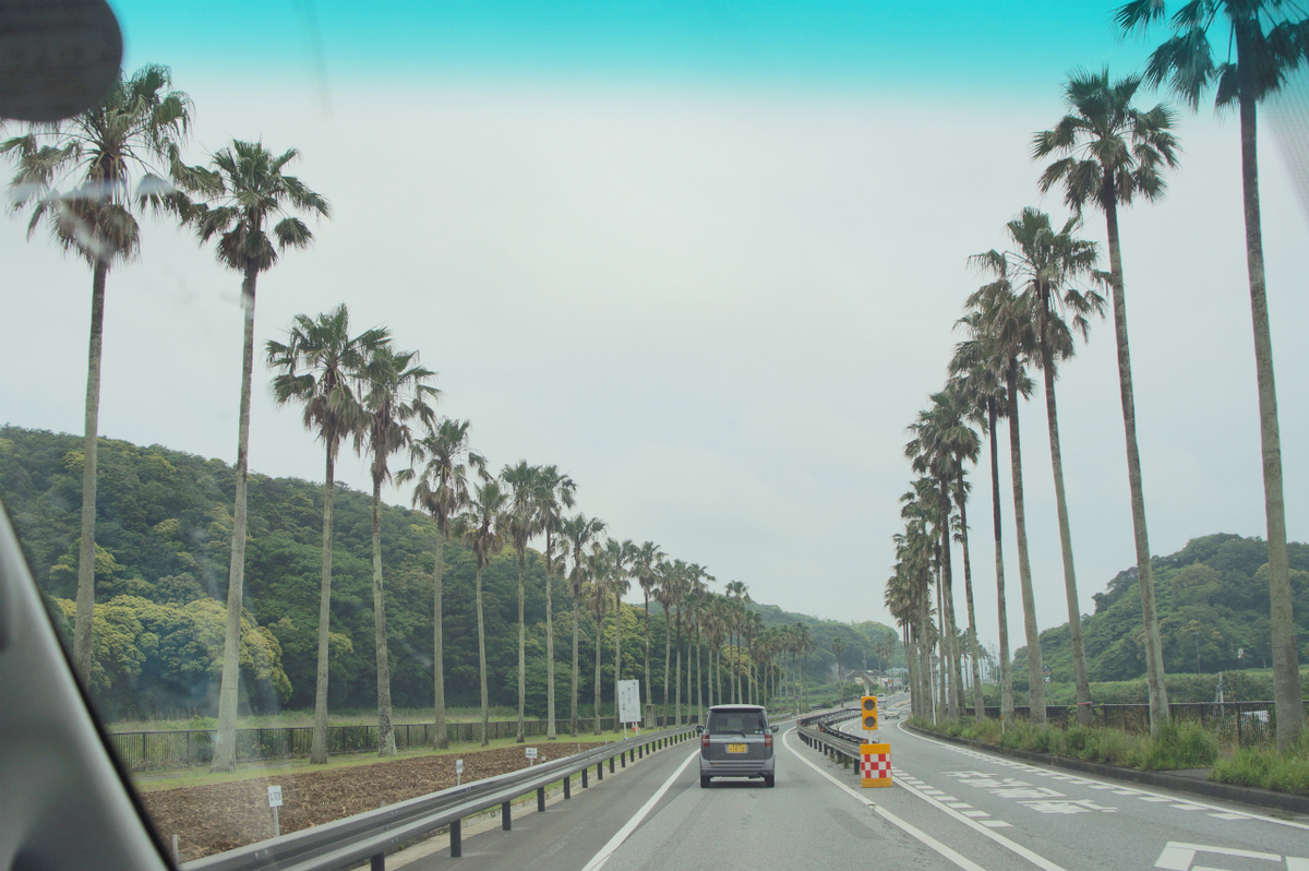 f:id:masatdm1951:20190609101909j:plain f:id:masatdm1951:20190609101909j:plain