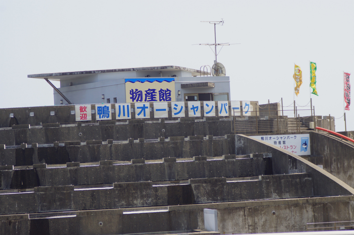 f:id:masatdm1951:20190609102350j:plain f:id:masatdm1951:20190609102350j:plain