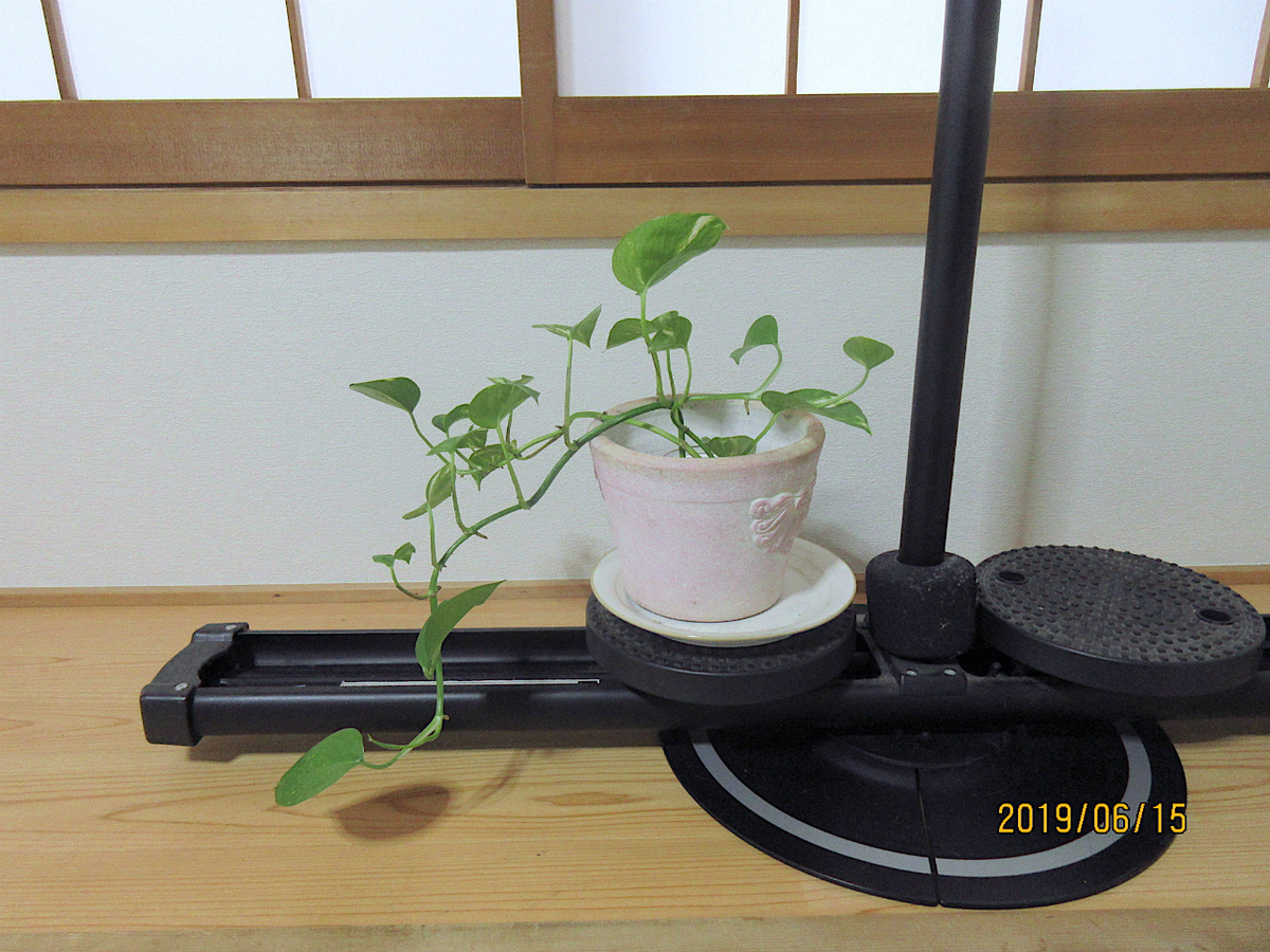 f:id:masatdm1951:20190616124436j:plain f:id:masatdm1951:20190616124436j:plain