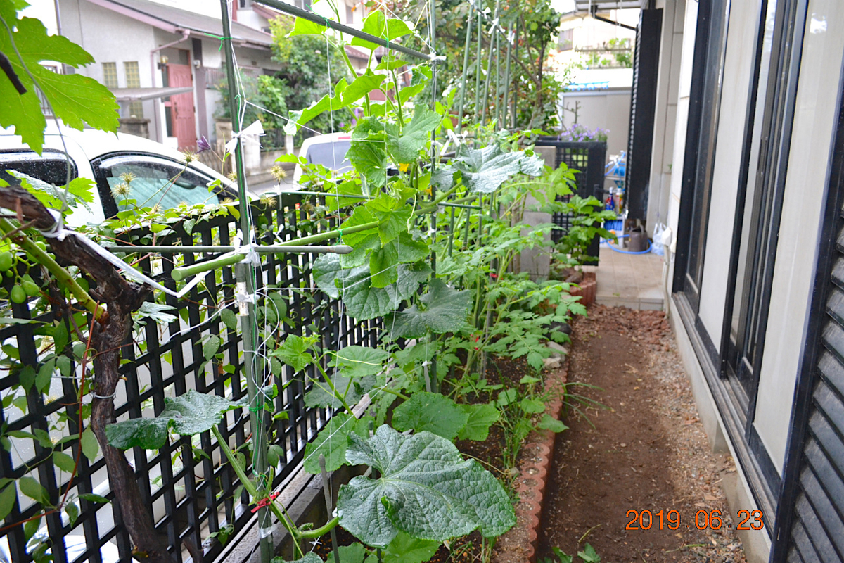 f:id:masatdm1951:20190623080937j:plain f:id:masatdm1951:20190623080937j:plain