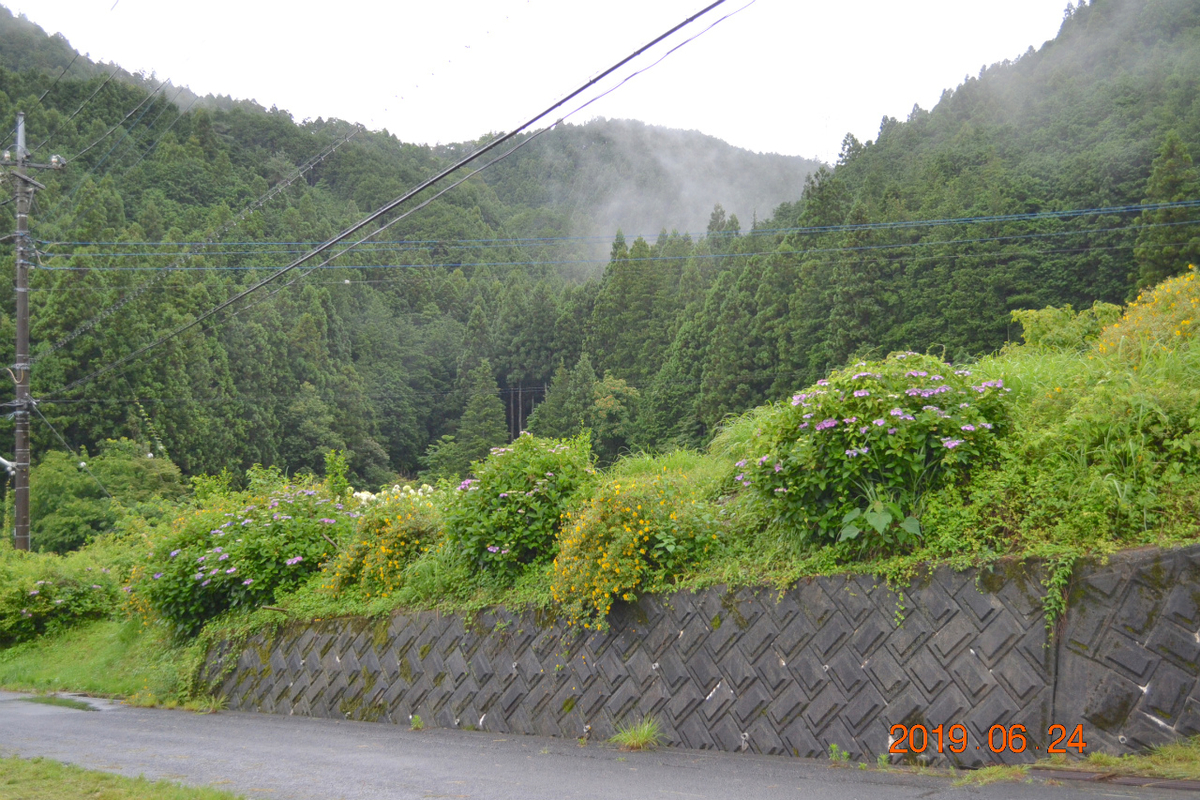 f:id:masatdm1951:20190624160838j:plain f:id:masatdm1951:20190624160838j:plain