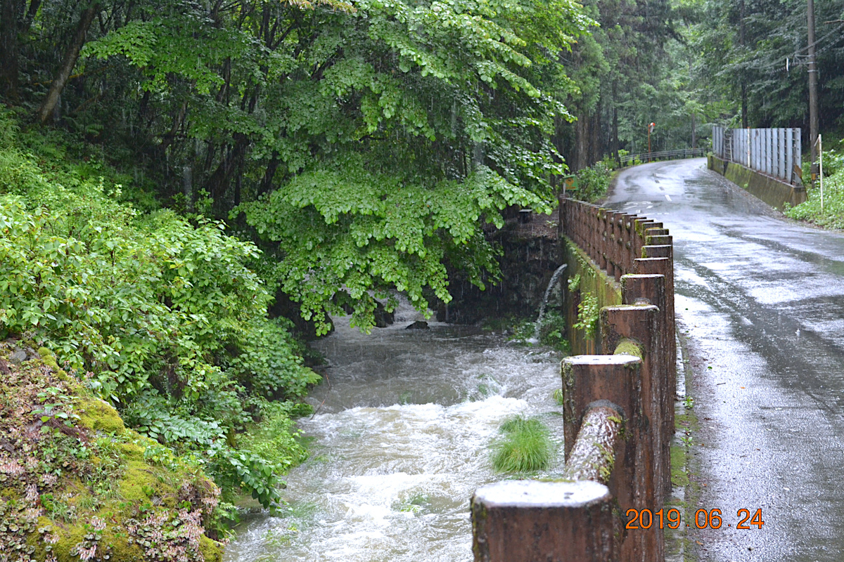 f:id:masatdm1951:20190624160946j:plain f:id:masatdm1951:20190624160946j:plain