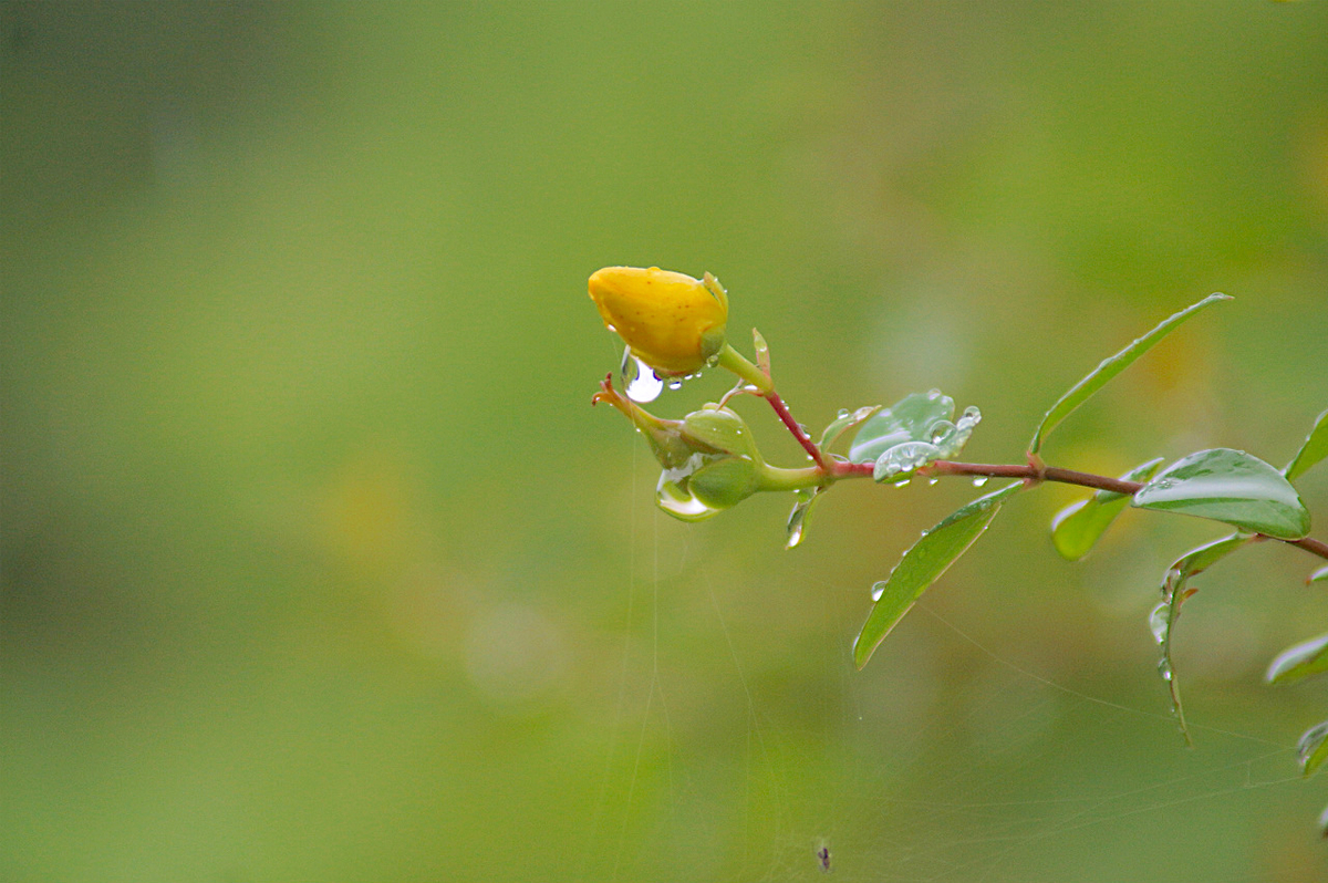 f:id:masatdm1951:20190624161110j:plain f:id:masatdm1951:20190624161110j:plain