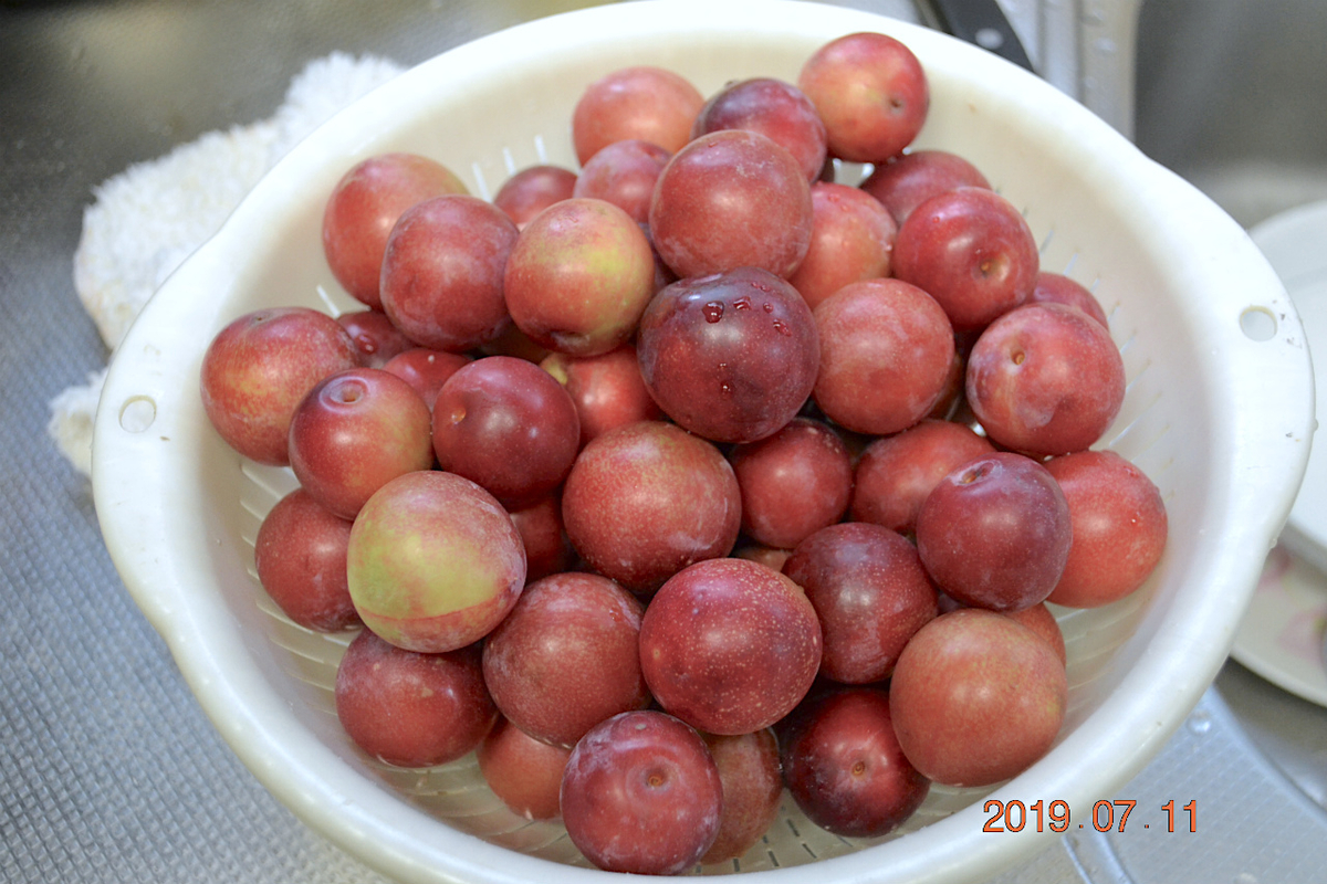 f:id:masatdm1951:20190712082831j:plain