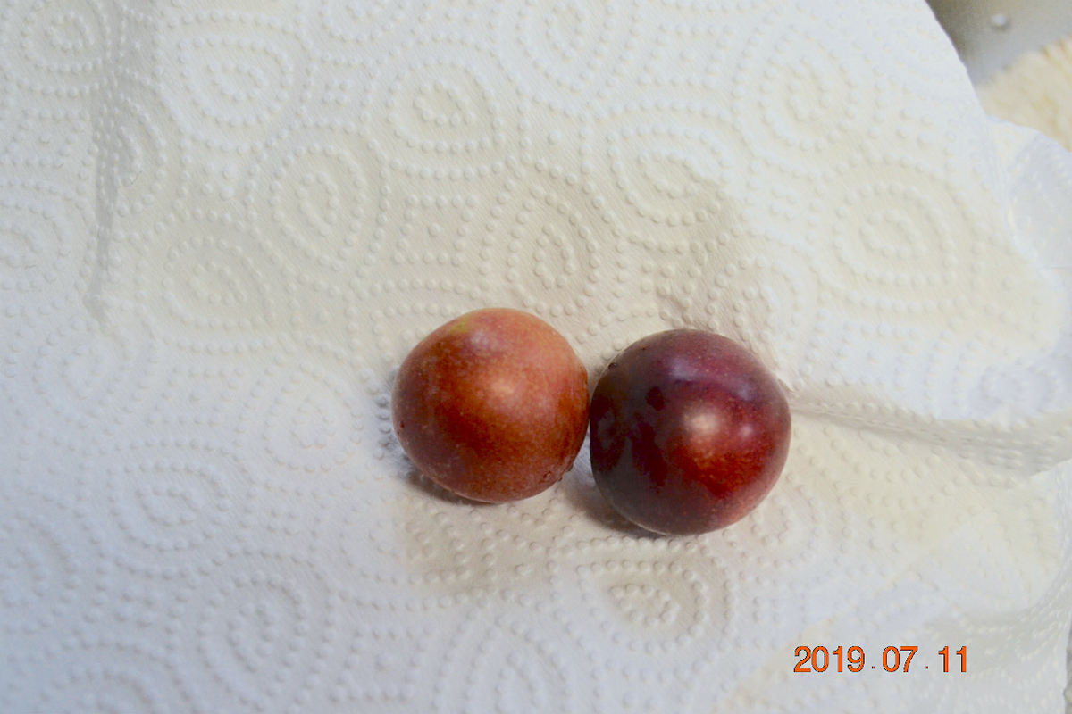 f:id:masatdm1951:20190712082848j:plain