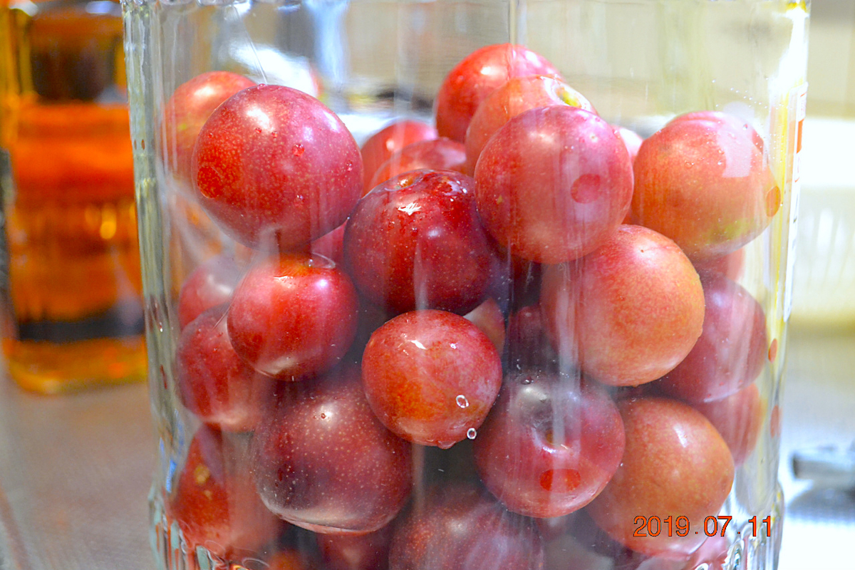 f:id:masatdm1951:20190712082910j:plain