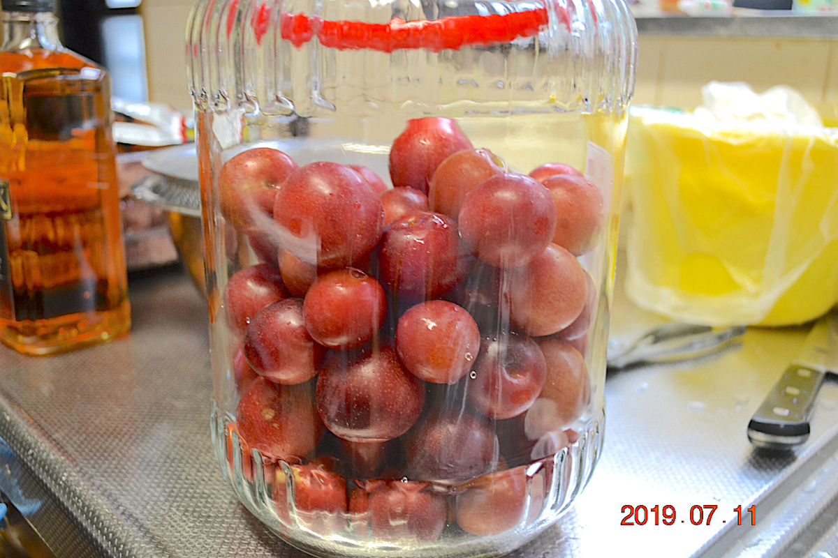 f:id:masatdm1951:20190712082919j:plain