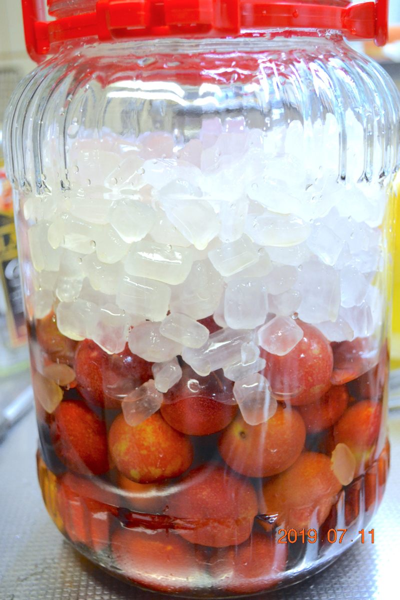 f:id:masatdm1951:20190712082932j:plain