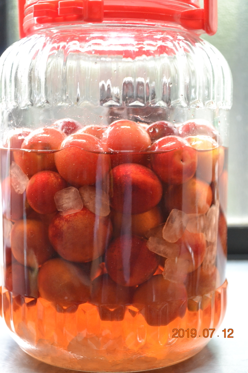 f:id:masatdm1951:20190712090525j:plain