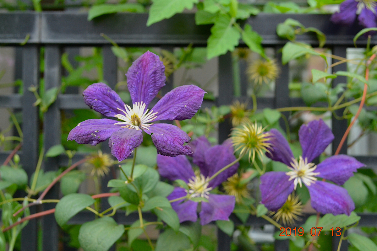 f:id:masatdm1951:20190713155835j:plain