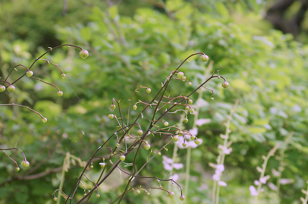 f:id:masatdm1951:20190715193025j:plain