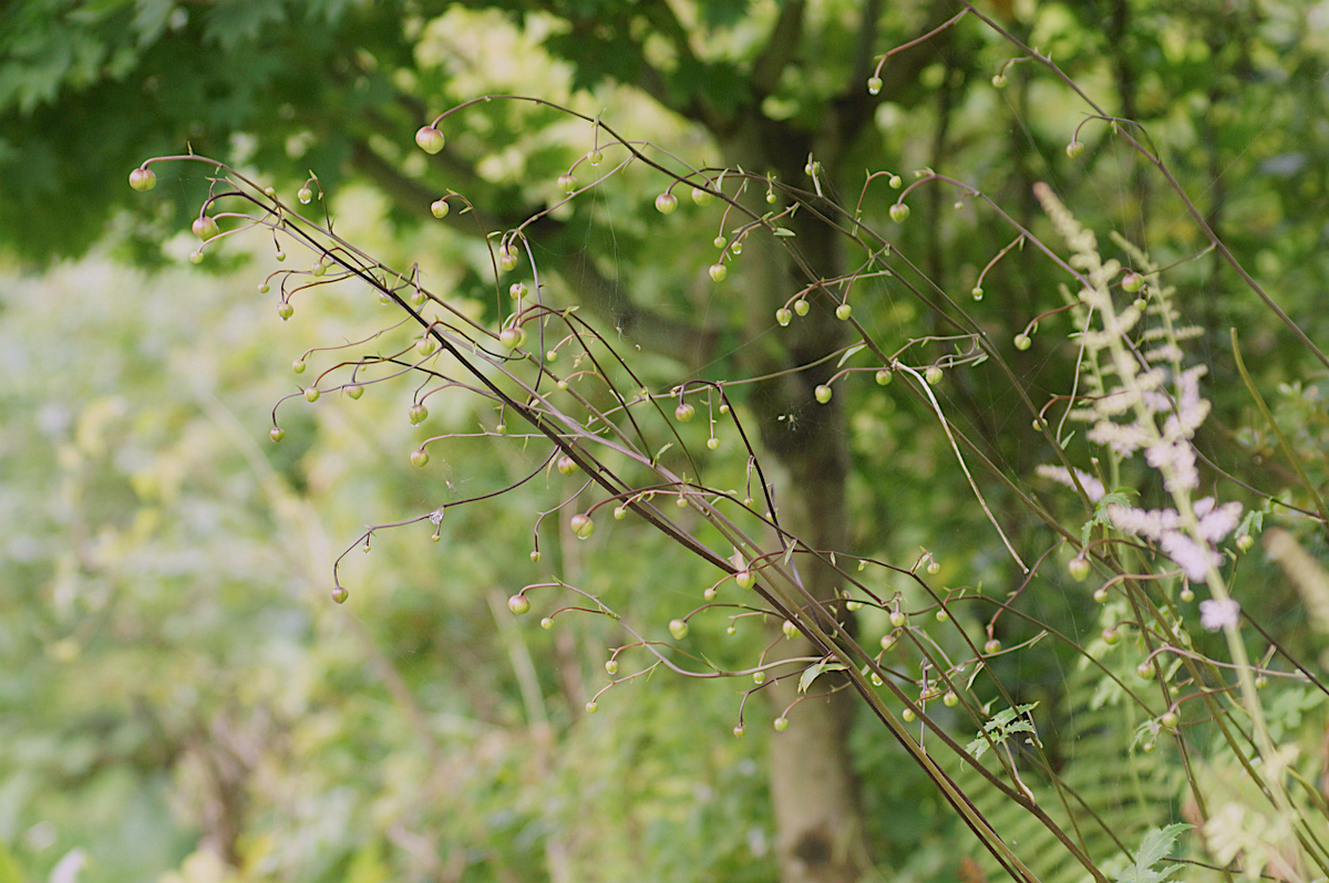 f:id:masatdm1951:20190715193132j:plain