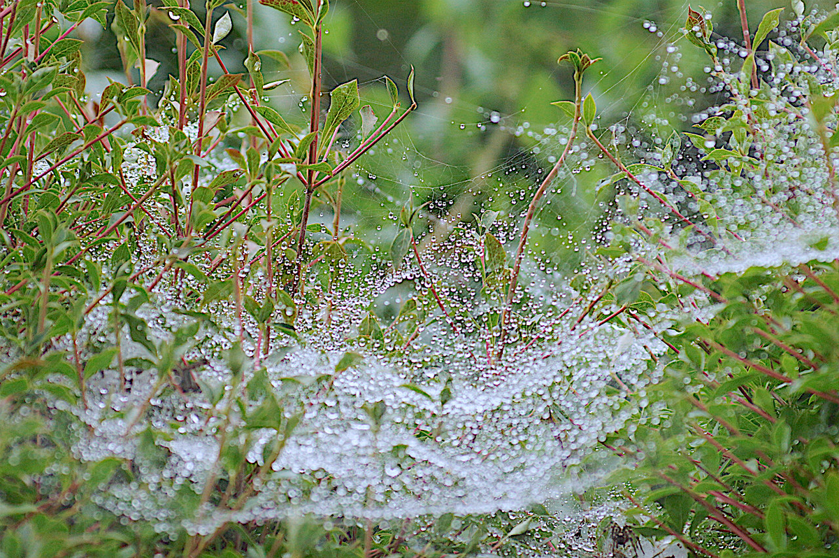 f:id:masatdm1951:20190716065220j:plain