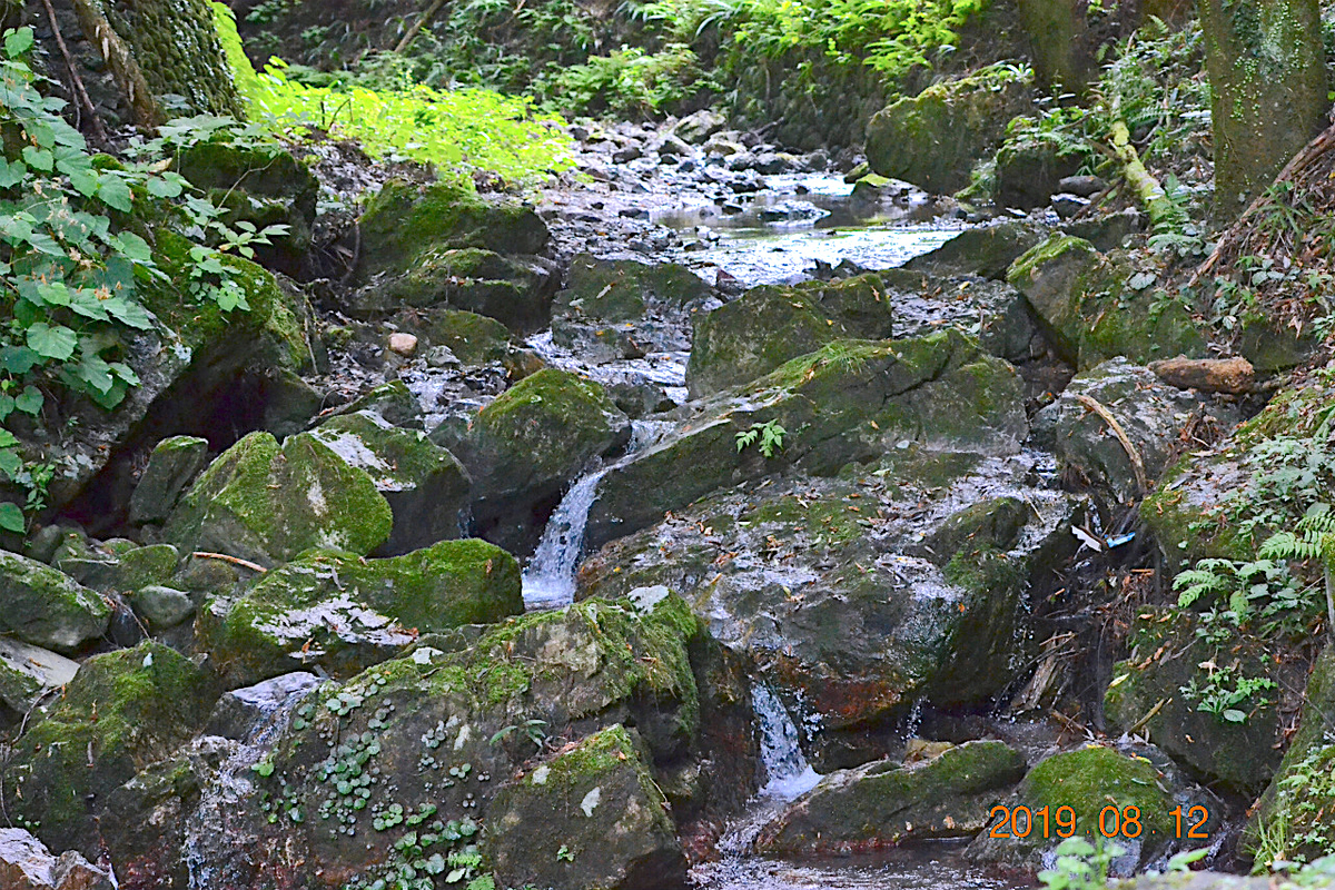 f:id:masatdm1951:20190812214603j:plain f:id:masatdm1951:20190812214603j:plain