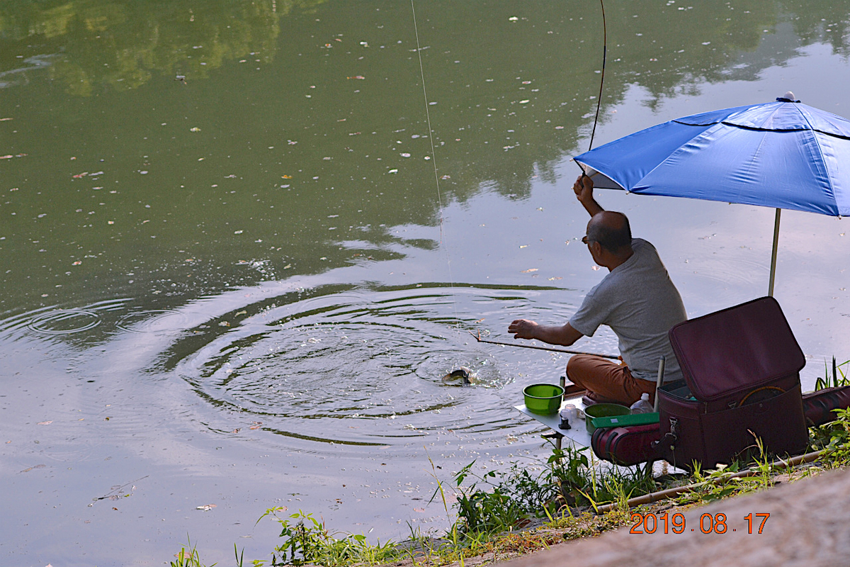 f:id:masatdm1951:20190817235853j:plain