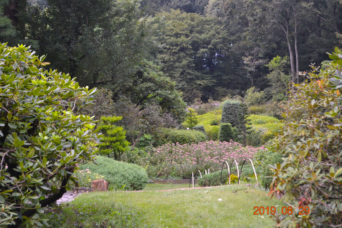 f:id:masatdm1951:20190830103945j:plain f:id:masatdm1951:20190830103945j:plain