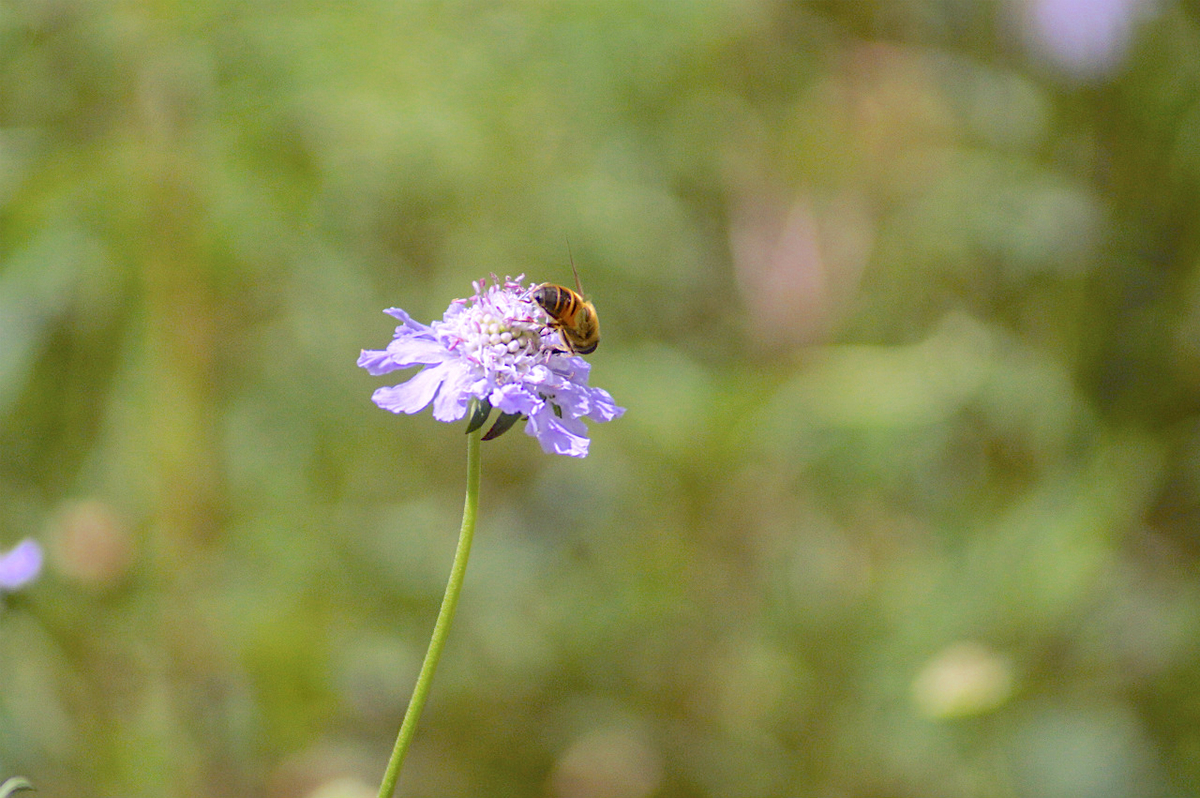 f:id:masatdm1951:20190830104438j:plain f:id:masatdm1951:20190830104438j:plain