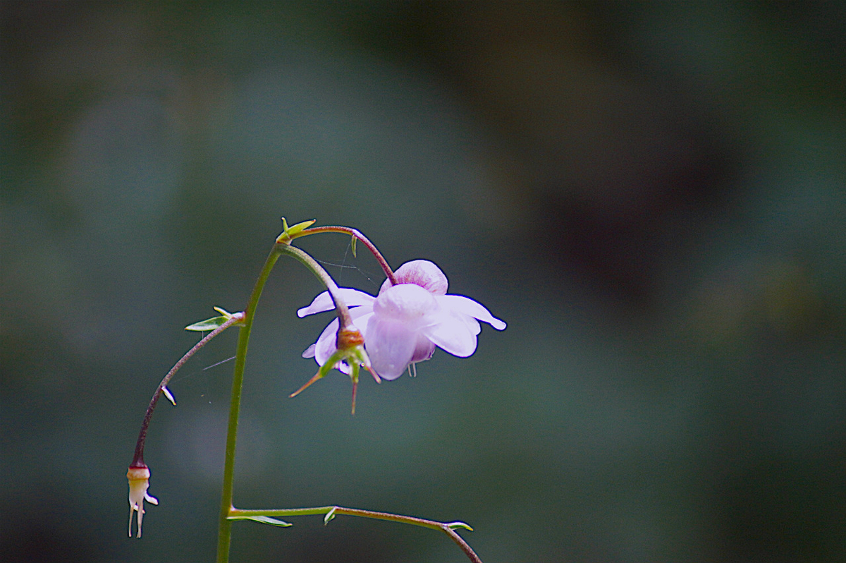 f:id:masatdm1951:20190830104553j:plain f:id:masatdm1951:20190830104553j:plain