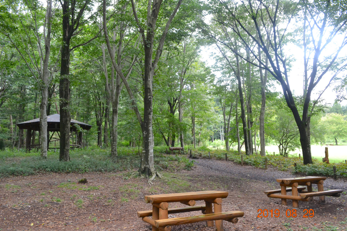 f:id:masatdm1951:20190830143642j:plain f:id:masatdm1951:20190830143642j:plain