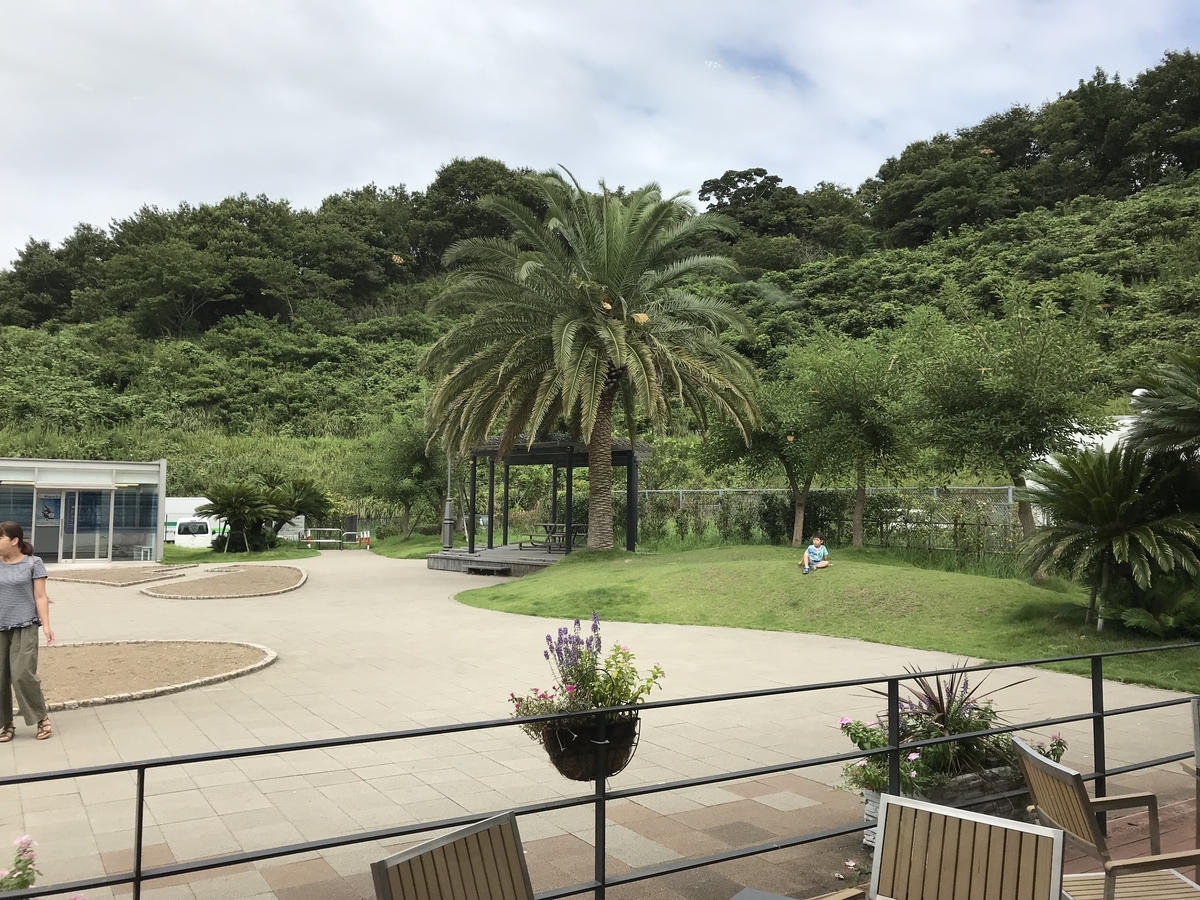 f:id:masatdm1951:20190907125658j:plain f:id:masatdm1951:20190907125658j:plain