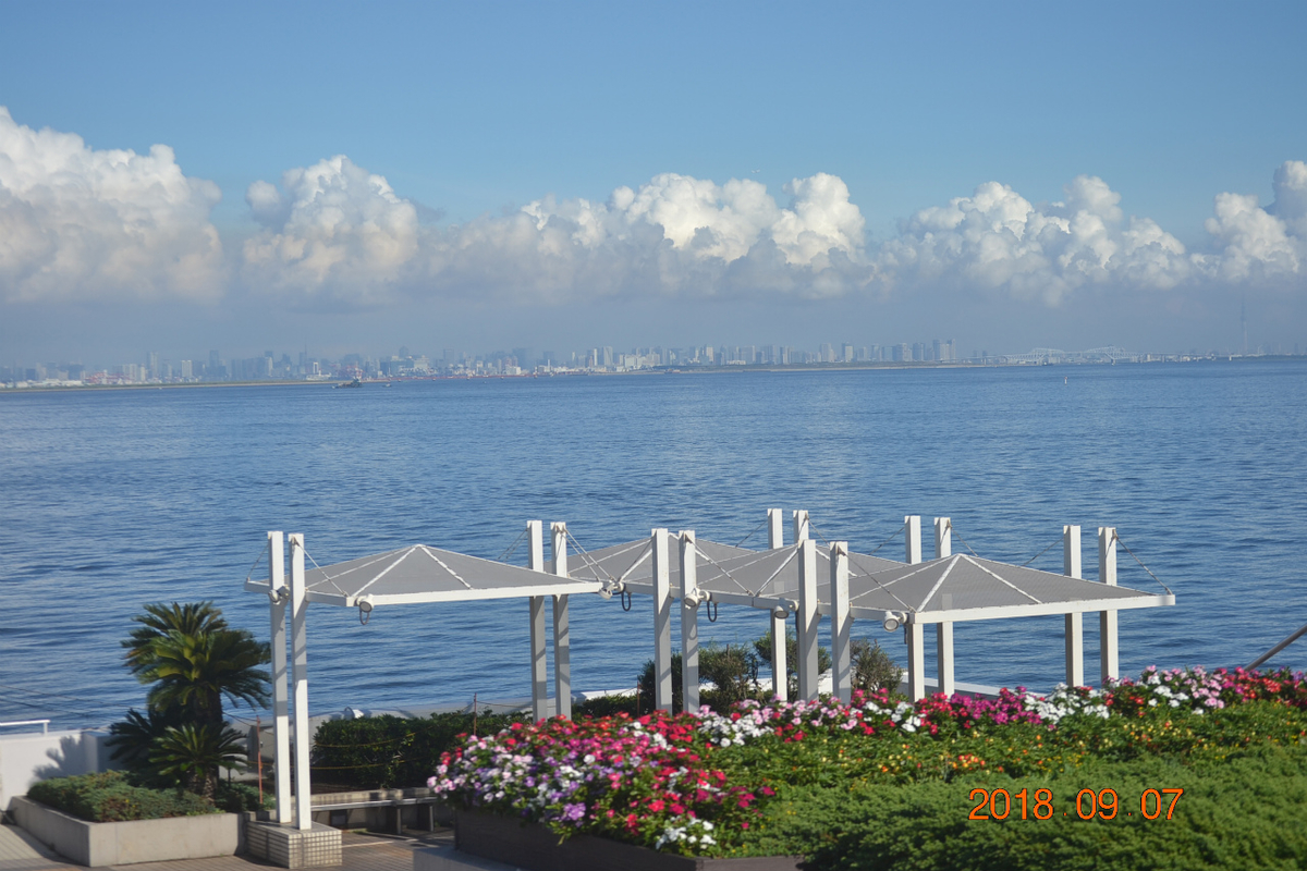 f:id:masatdm1951:20190909222408j:plain f:id:masatdm1951:20190909222408j:plain