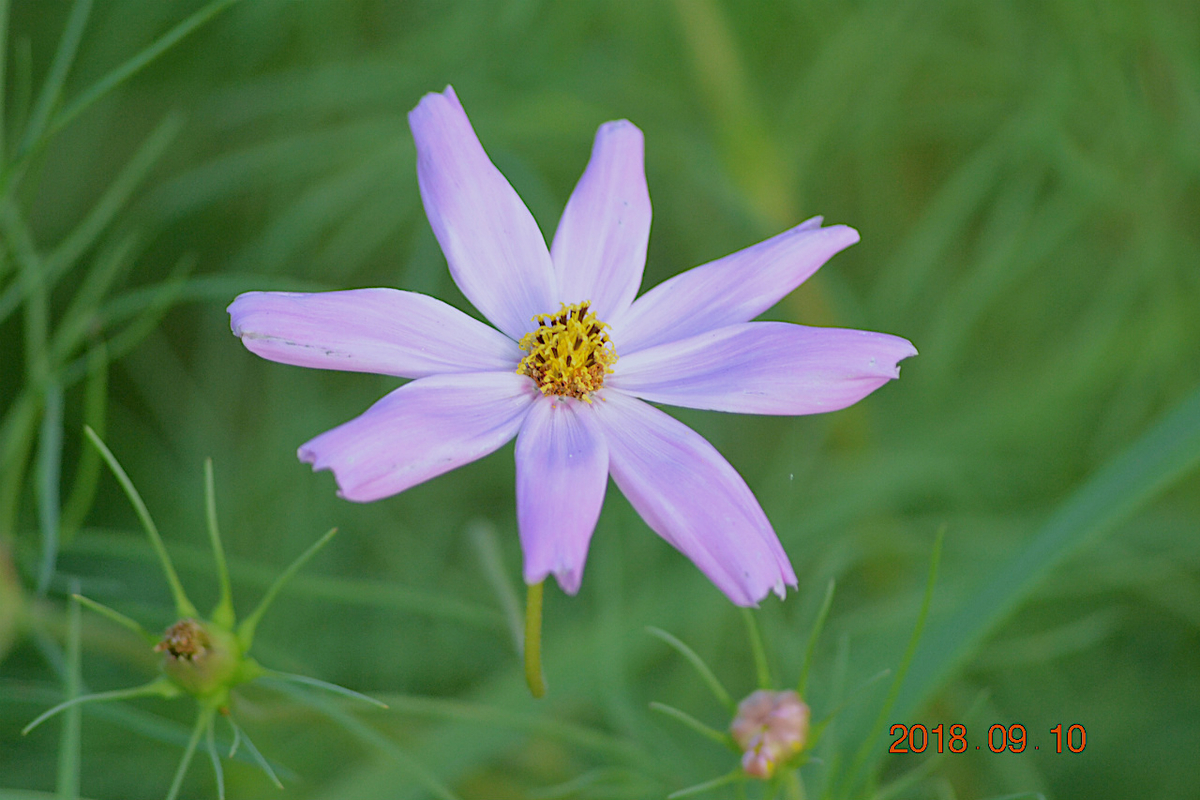 f:id:masatdm1951:20190911221253j:plain