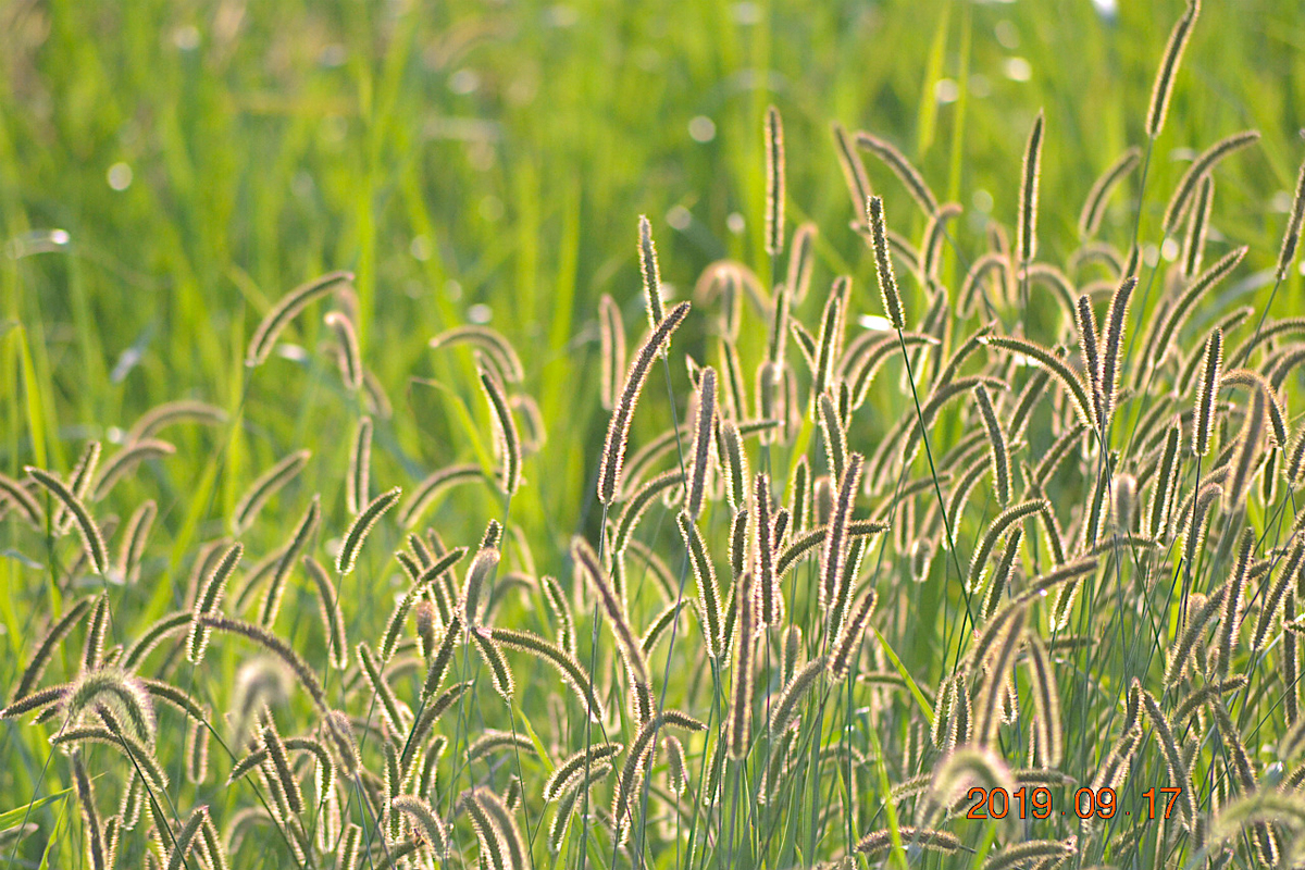 『秋の日は釣瓶（つるべ）落とし』 毎日が『一番新しい日』前向きに(^^)/