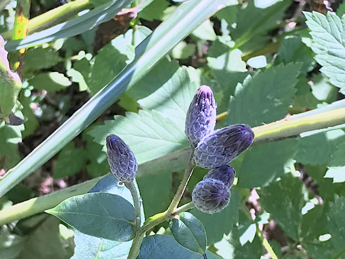 f:id:masatdm1951:20190928200726j:plain f:id:masatdm1951:20190928200726j:plain