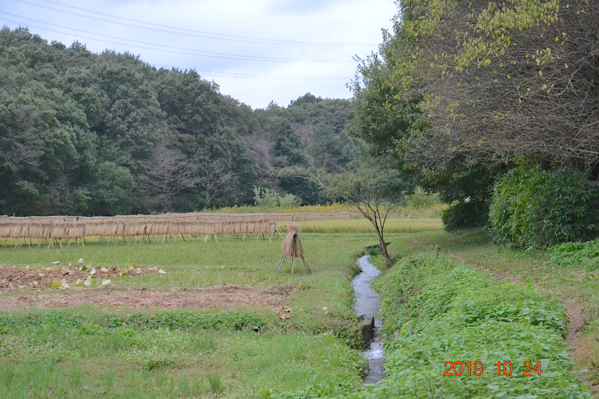 f:id:masatdm1951:20191024223526j:plain