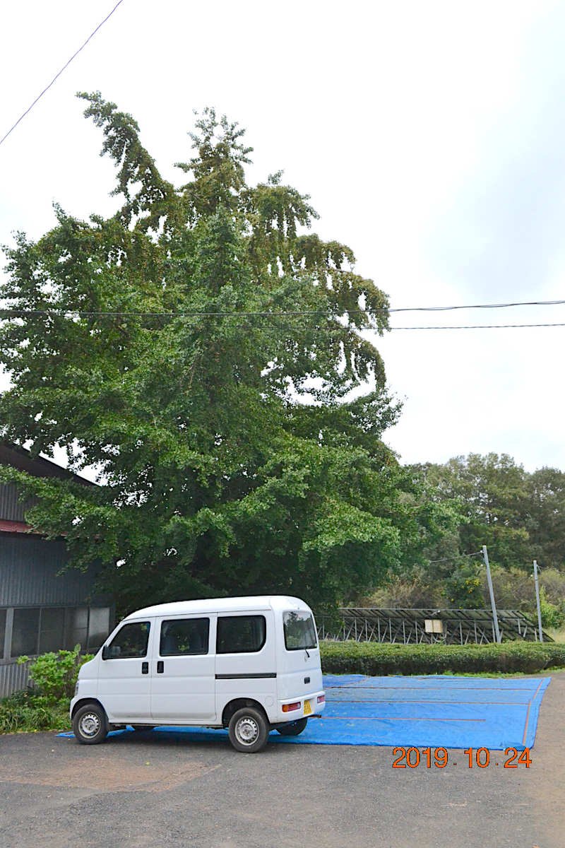 f:id:masatdm1951:20191024223548j:plain