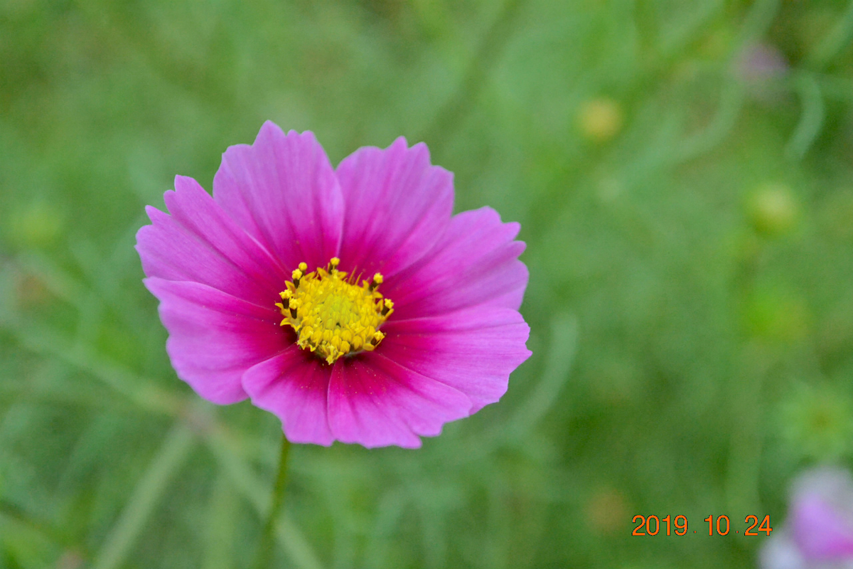 f:id:masatdm1951:20191024223559j:plain