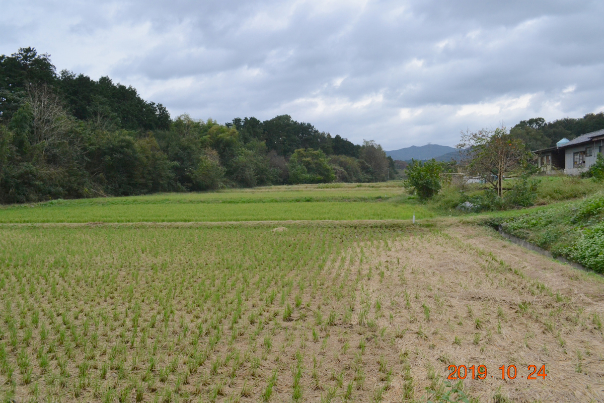 f:id:masatdm1951:20191024223759j:plain