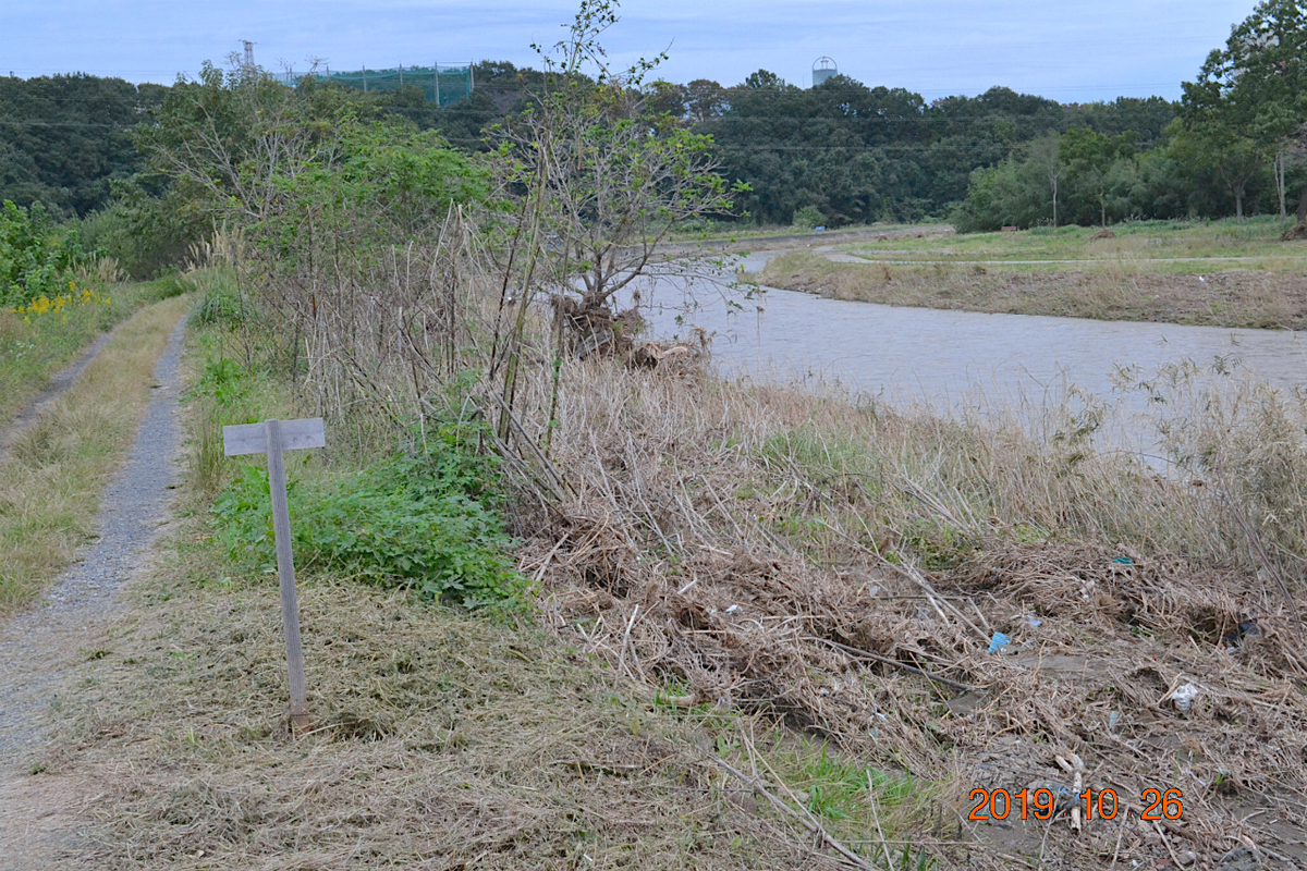 f:id:masatdm1951:20191026214225j:plain