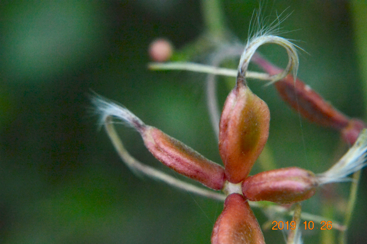 f:id:masatdm1951:20191026214349j:plain