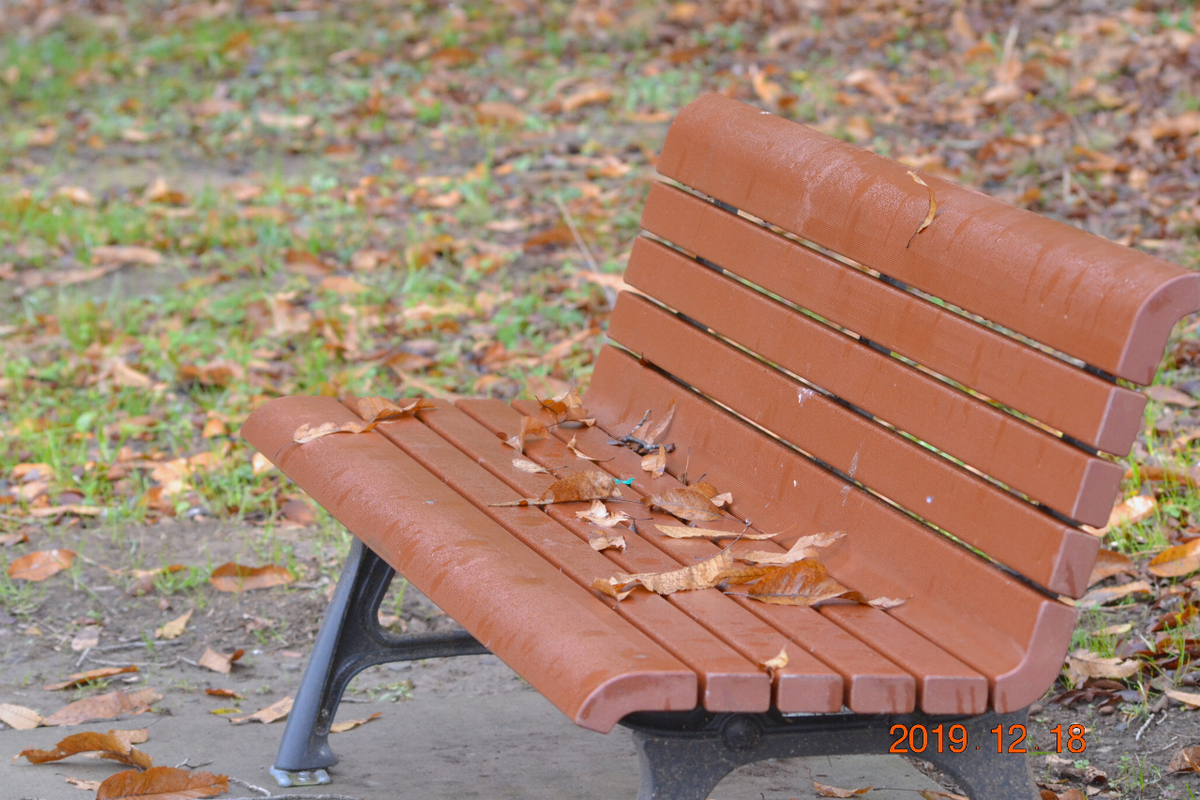 f:id:masatdm1951:20191218223336j:plain