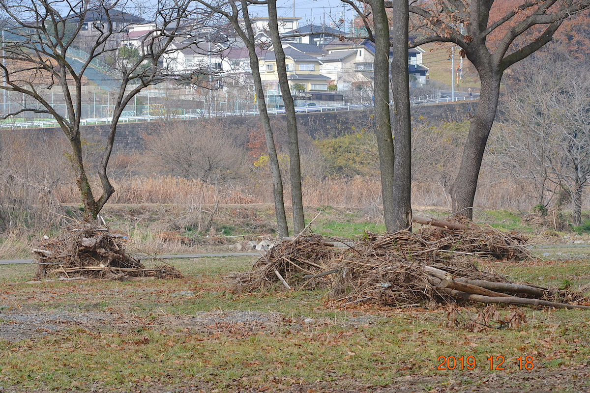 f:id:masatdm1951:20191218223506j:plain