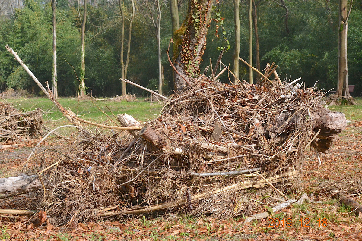 f:id:masatdm1951:20191218223509j:plain