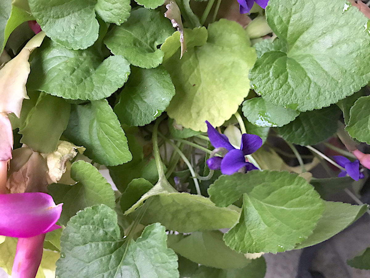 f:id:masatdm1951:20191218223531j:plain