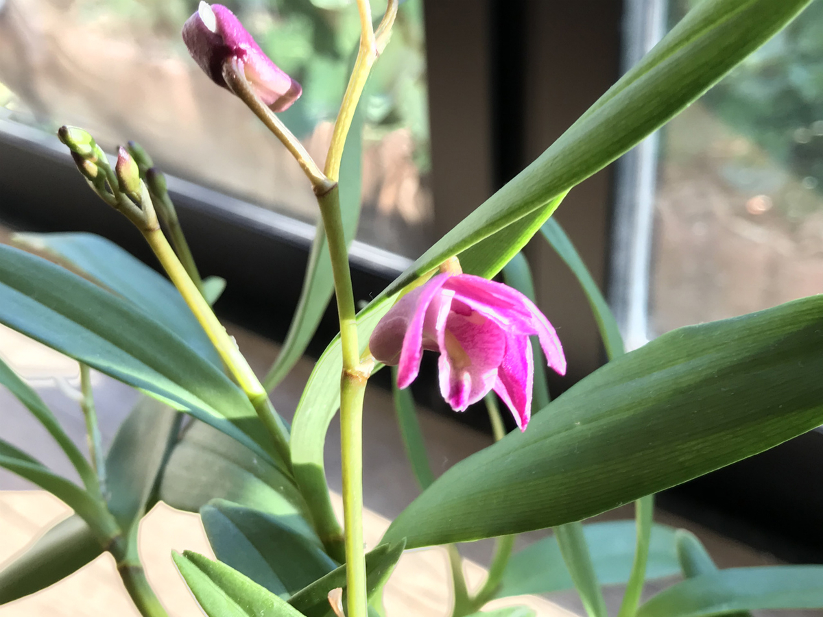 f:id:masatdm1951:20200210210653j:plain f:id:masatdm1951:20200210210653j:plain