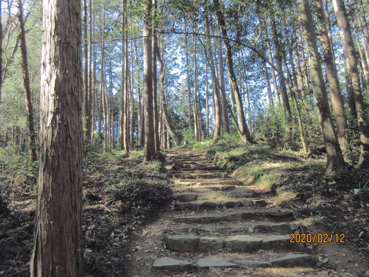 f:id:masatdm1951:20200212200518j:plain