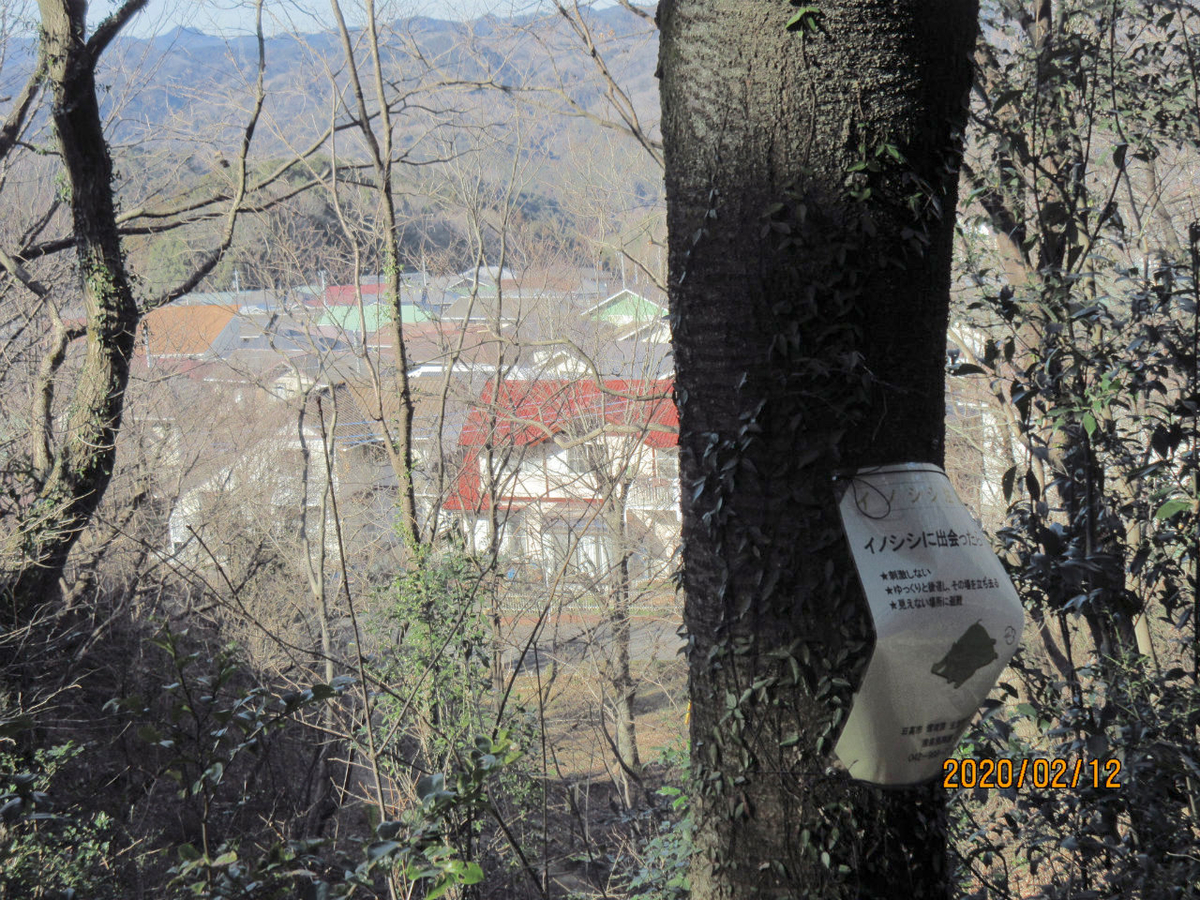 f:id:masatdm1951:20200212200641j:plain