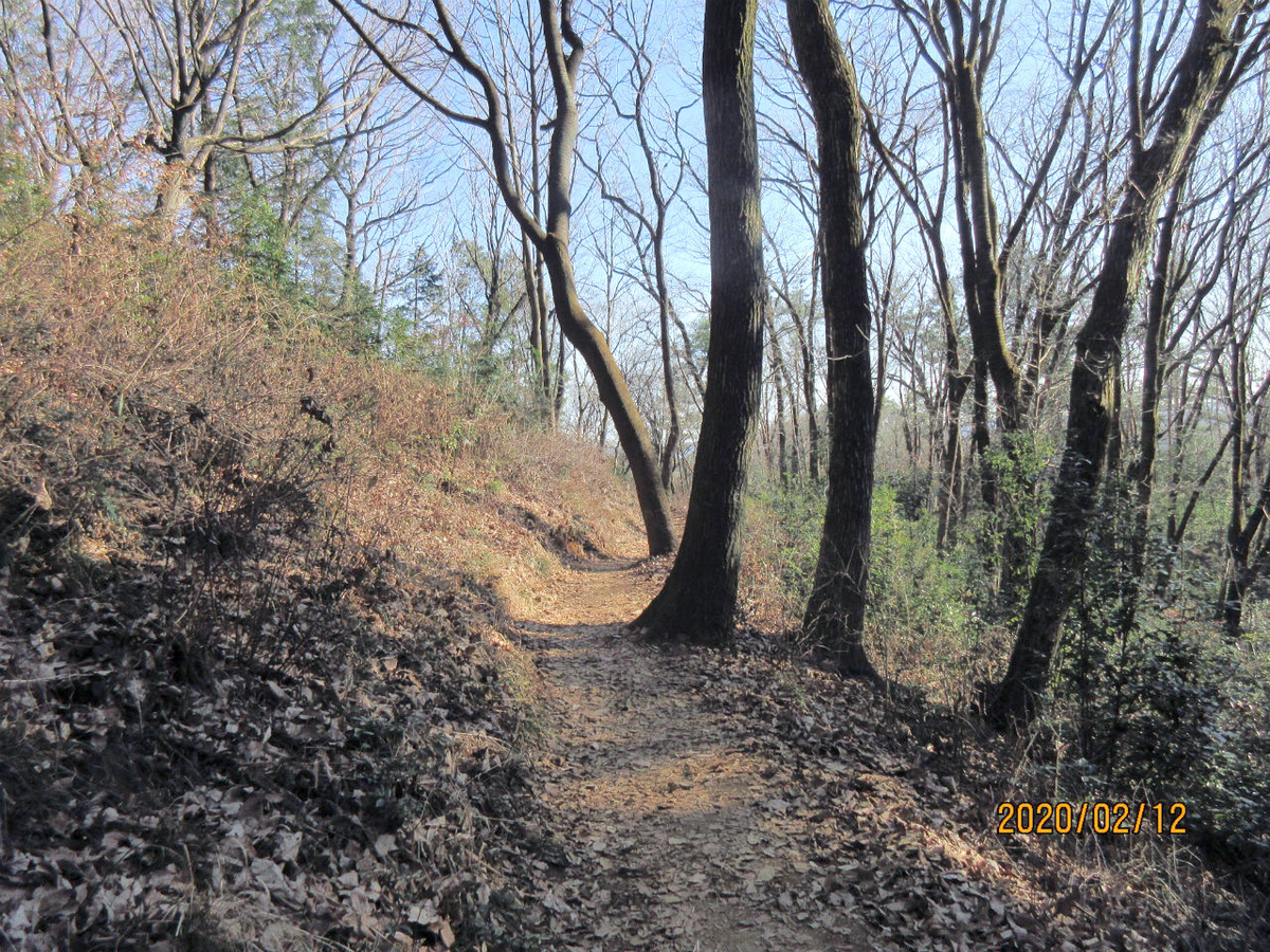 f:id:masatdm1951:20200212200729j:plain