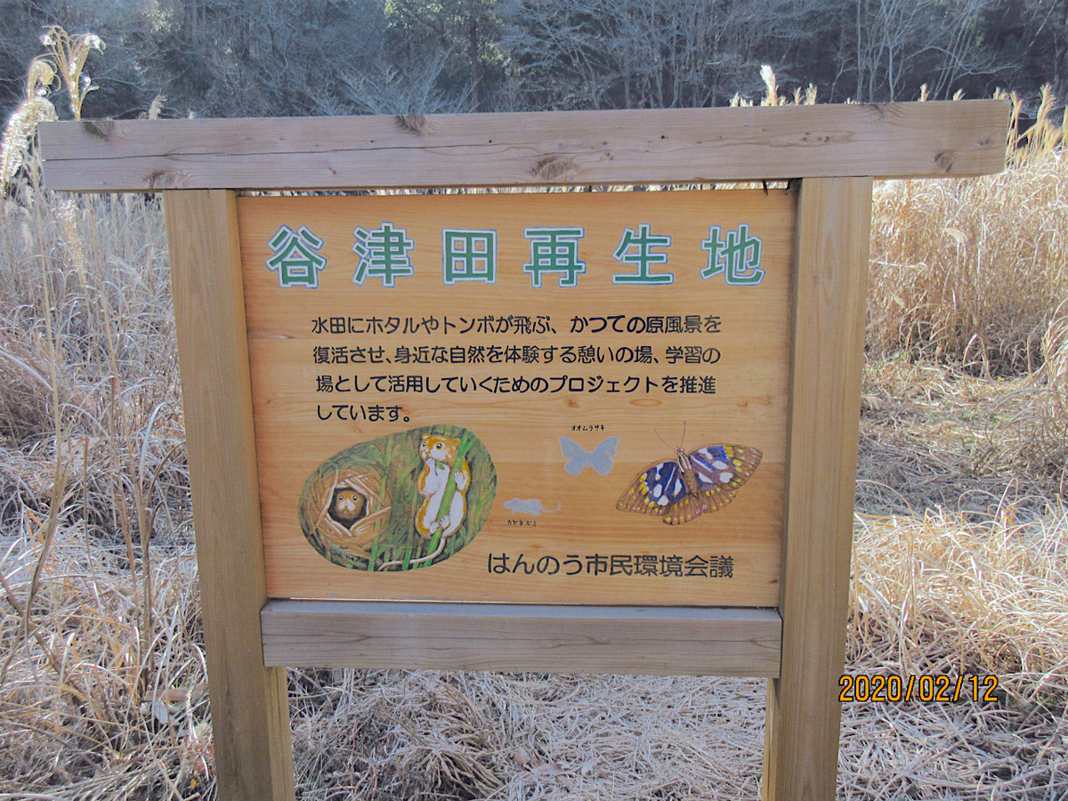 f:id:masatdm1951:20200212200739j:plain