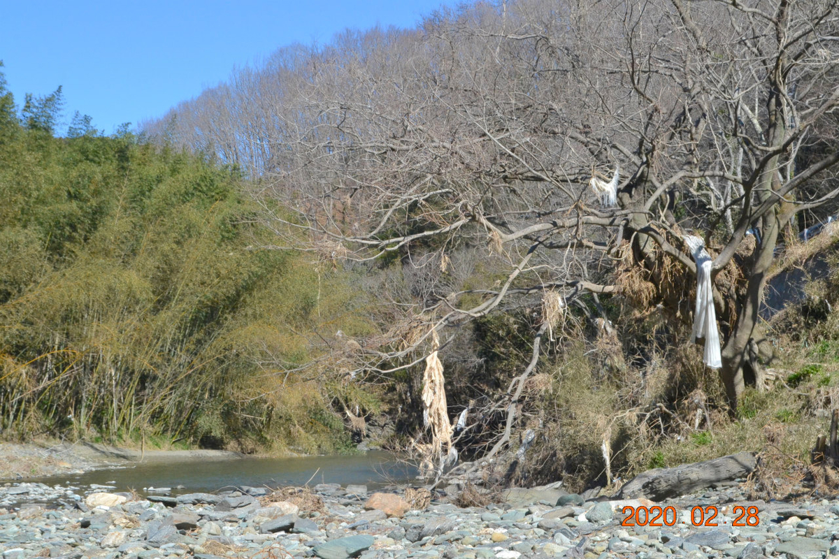 f:id:masatdm1951:20200228232208j:plain