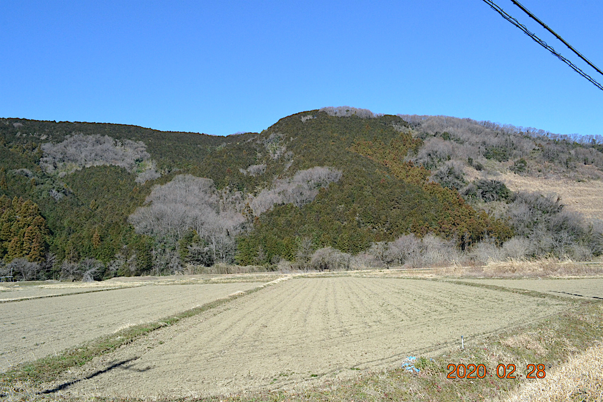 f:id:masatdm1951:20200228232220j:plain