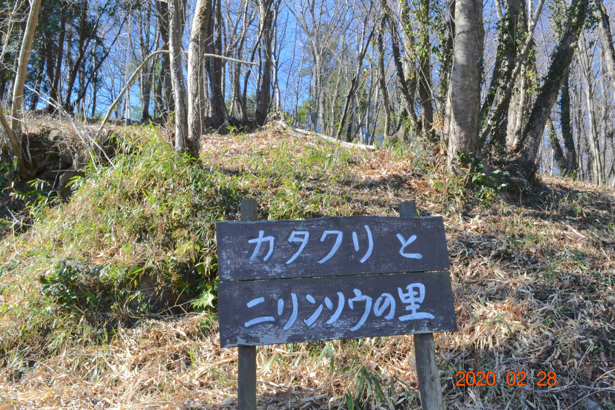 f:id:masatdm1951:20200228232229j:plain