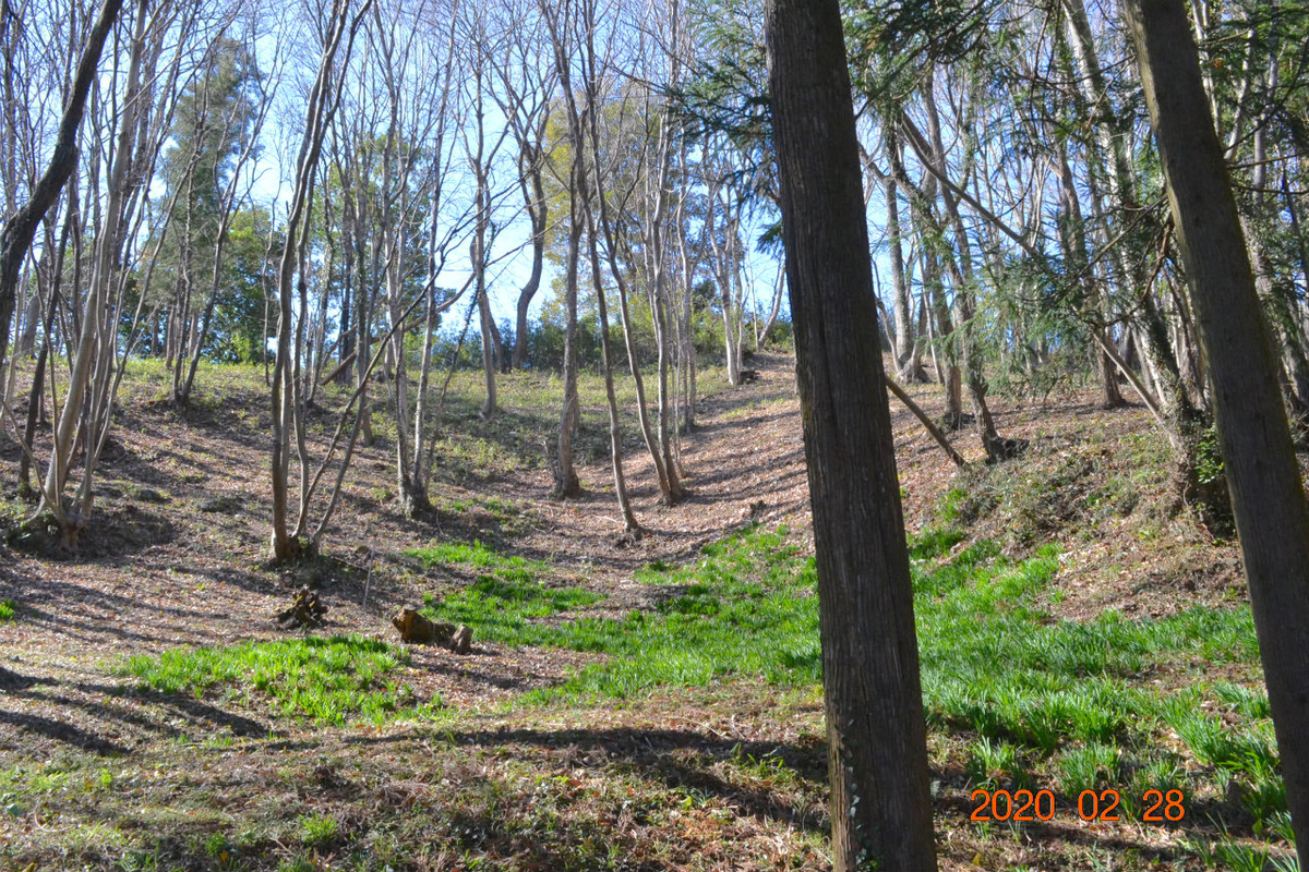 f:id:masatdm1951:20200228232237j:plain