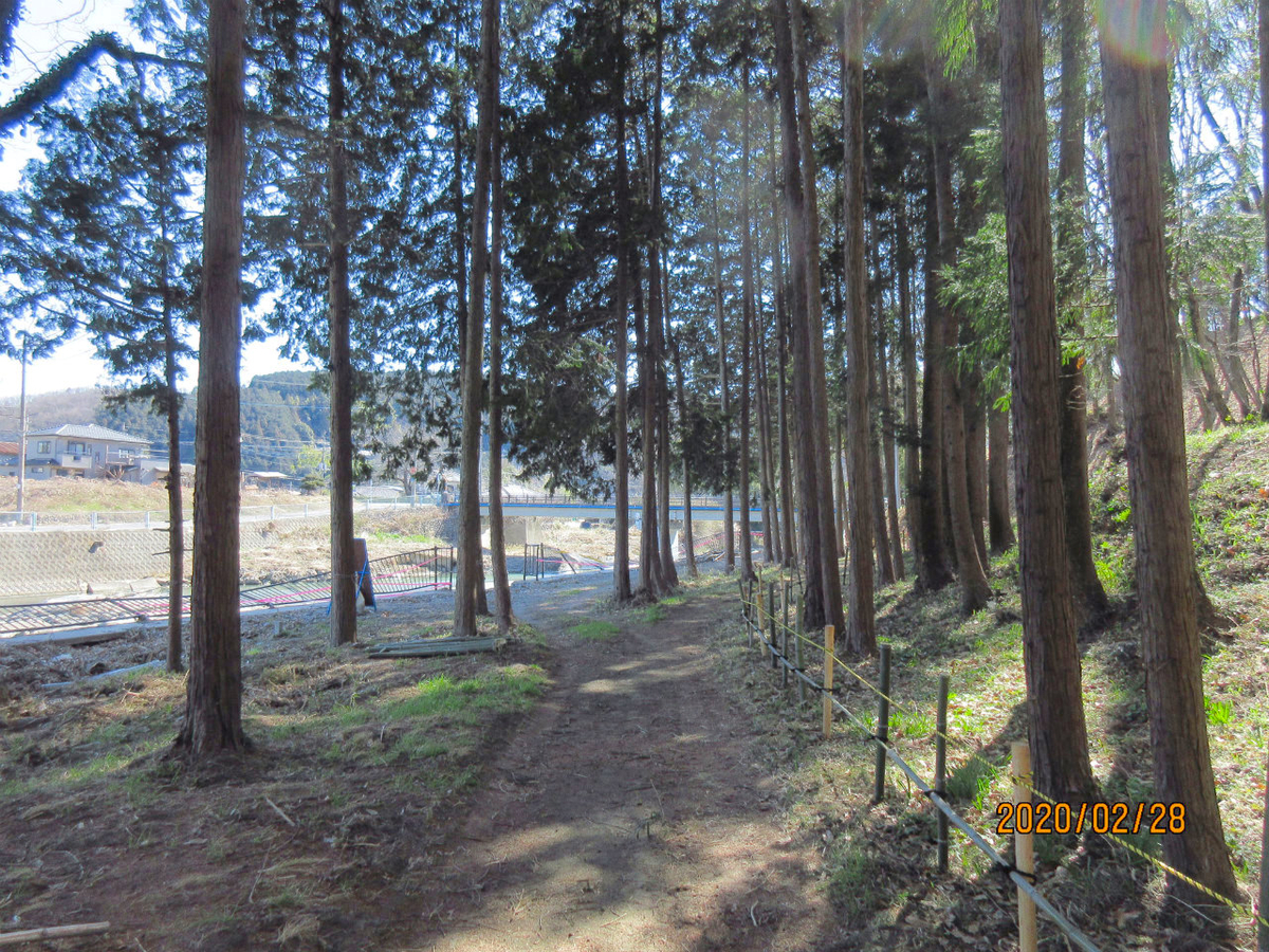 f:id:masatdm1951:20200228232533j:plain