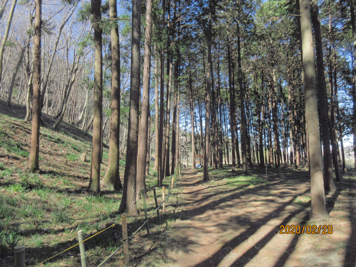 f:id:masatdm1951:20200228232539j:plain