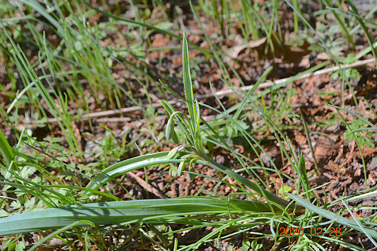 f:id:masatdm1951:20200228232913j:plain